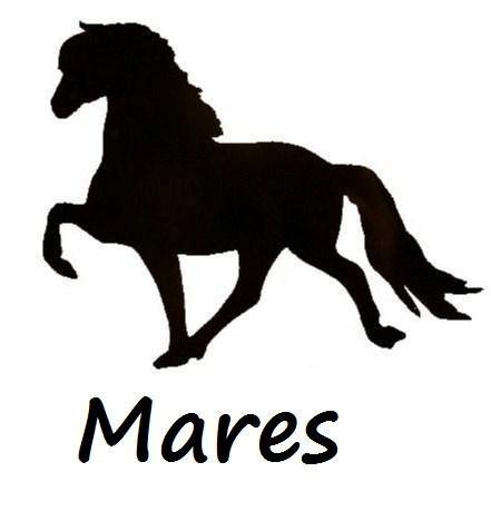 Mares For Sale
