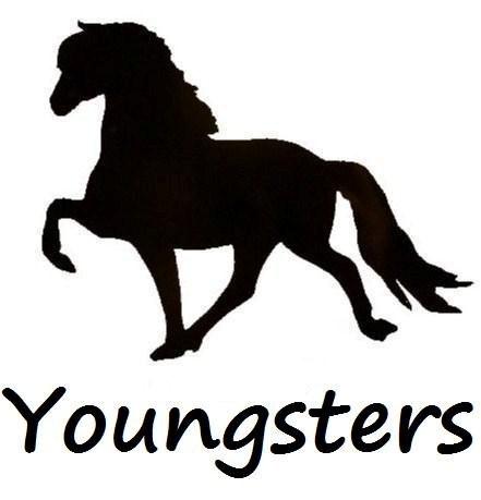 Yound Horses for Sale