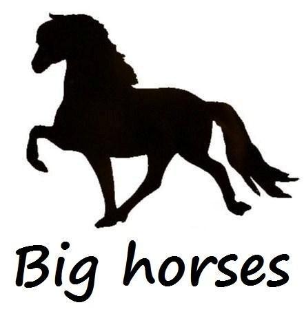 Big Horses for Sale